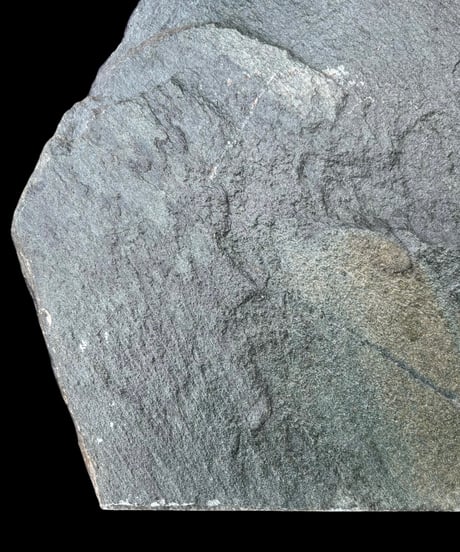 石彫刻 山月竹虎図 石板 レリーフ 石彫り 置物 石 縁起物 インテリア 骨董品 アンティーク