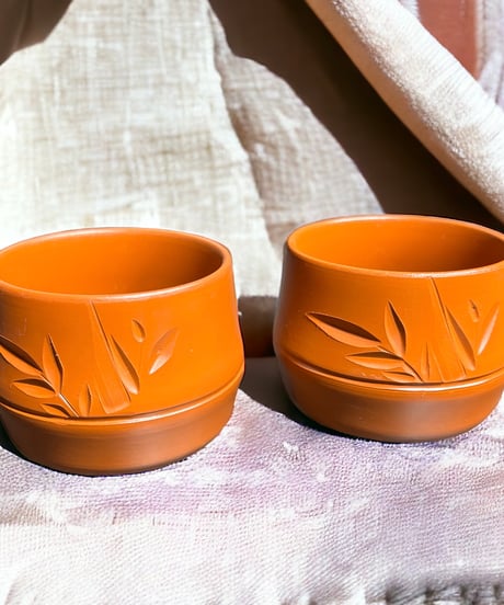 【2客セット】常滑焼 朱泥 向付 [竹の葉] 湯呑み 茶器 茶碗 茶道具 器 陶器 骨董品