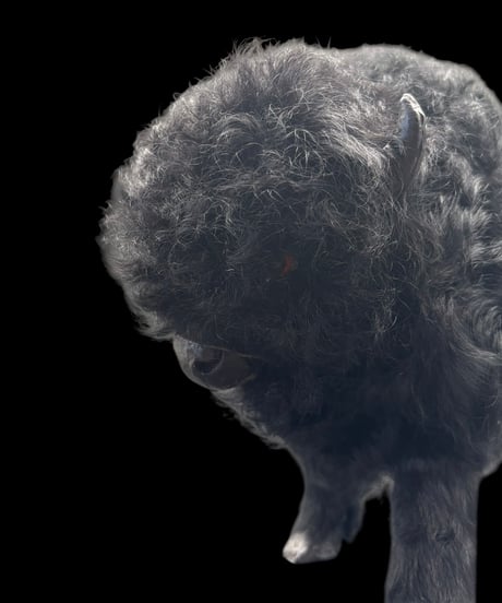 Buffalo Ornament オブジェ バッファロー バイソン 置物 動物 リアル インテリア 雑貨 ヴィンテージ アンティーク