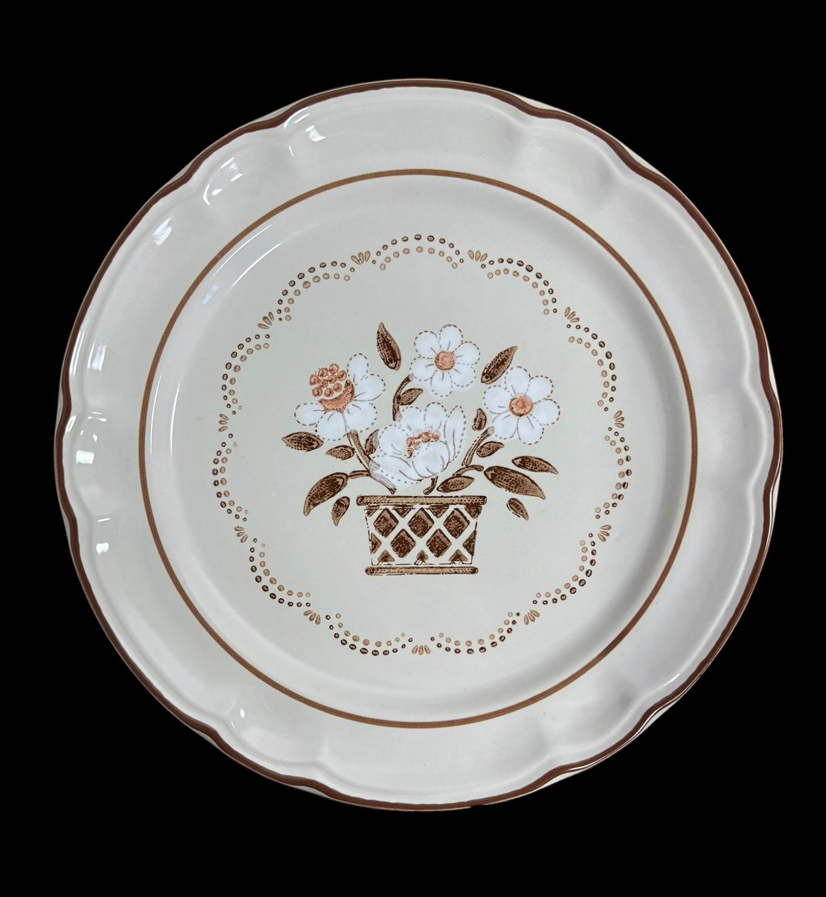 idenpottery アイデンポタリー すいかずら 花 大皿 Dennis Townsend アイデンポタリー スイカズラ イギリス 食器