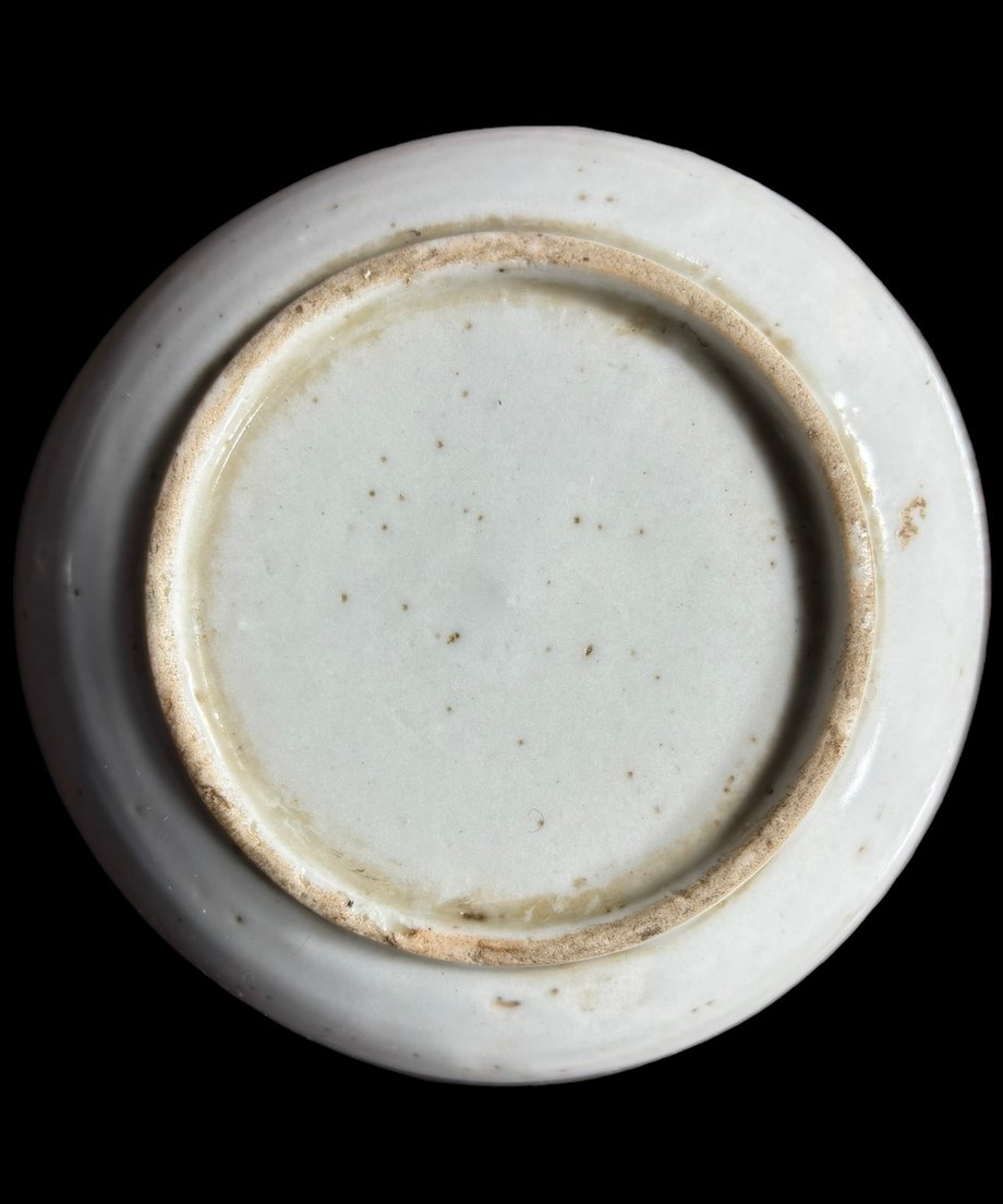 66cbd741d917110baafcd004