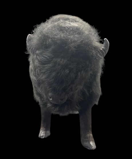 Buffalo Ornament オブジェ バッファロー バイソン 置物 動物 リアル インテリア 雑貨 ヴィンテージ アンティーク