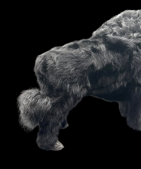 Buffalo Ornament オブジェ バッファロー バイソン 置物 動物 リアル インテリア 雑貨 ヴィンテージ アンティーク