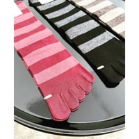 【Hoffmann】ウール&コットン 5本指太ボーダー