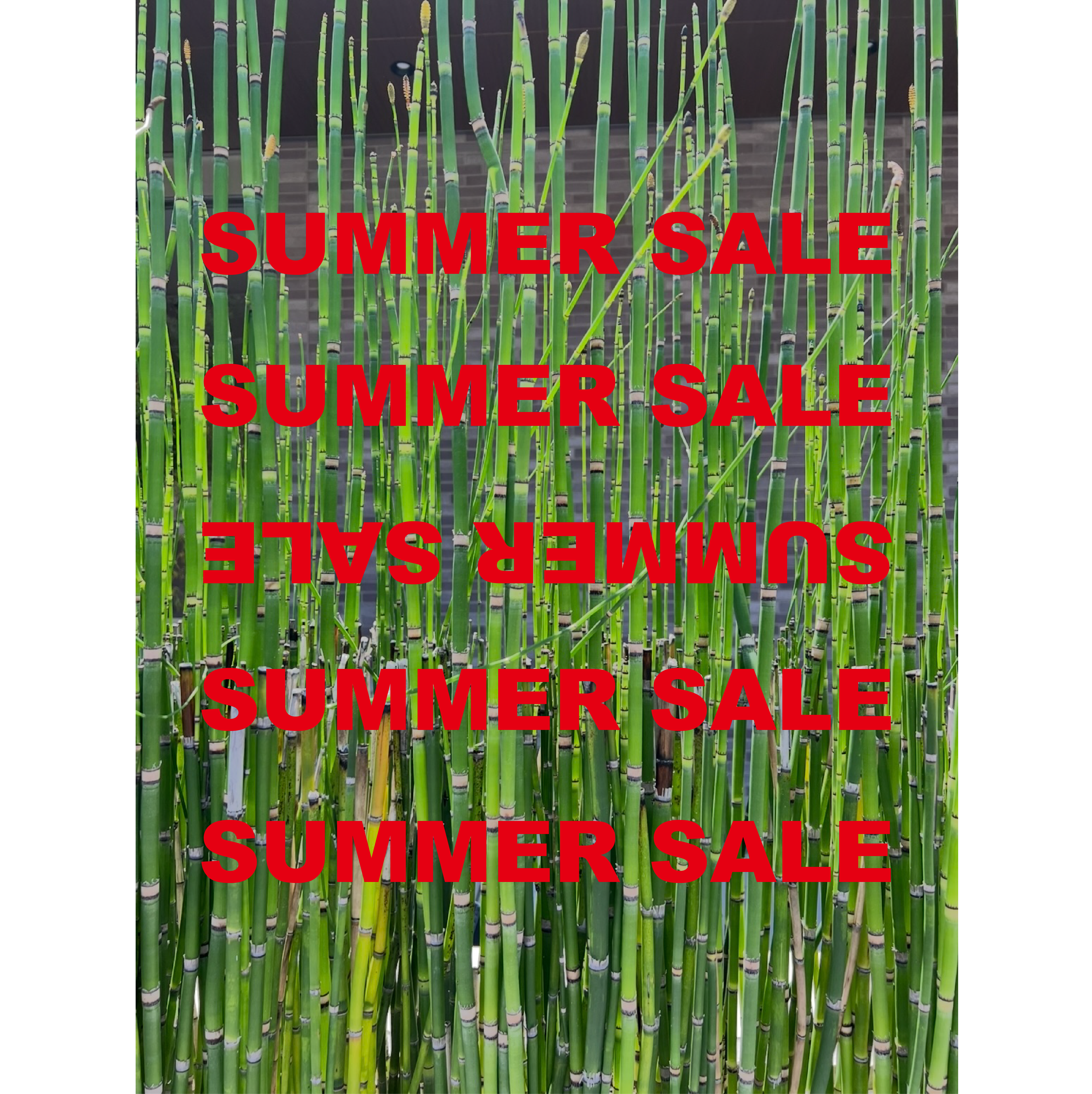 【SUMMER SALE】