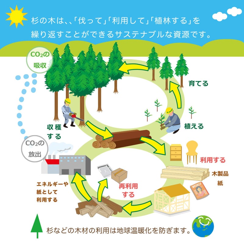 からからつみき3種類〔クリエイティブセットからから920〕［コンテナ入