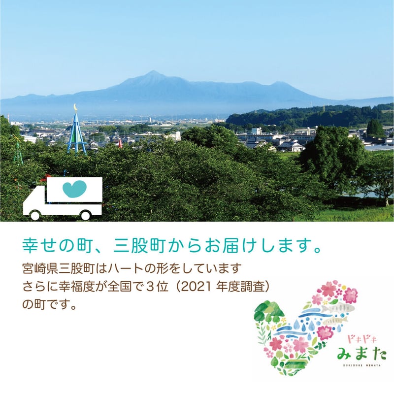 つみき になります。 からからつみき3種類セット（100P）送料無料 | karakaratsumiki