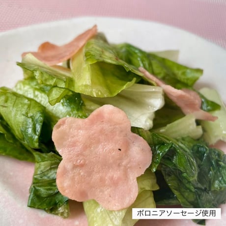 ボロニアソーセージ  スライス (90g)