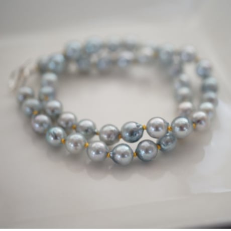 【drop】silver925 あこやグレーパールネックレス (yellow)