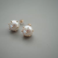 【drop】 ホワイトパール10Kドットピアス