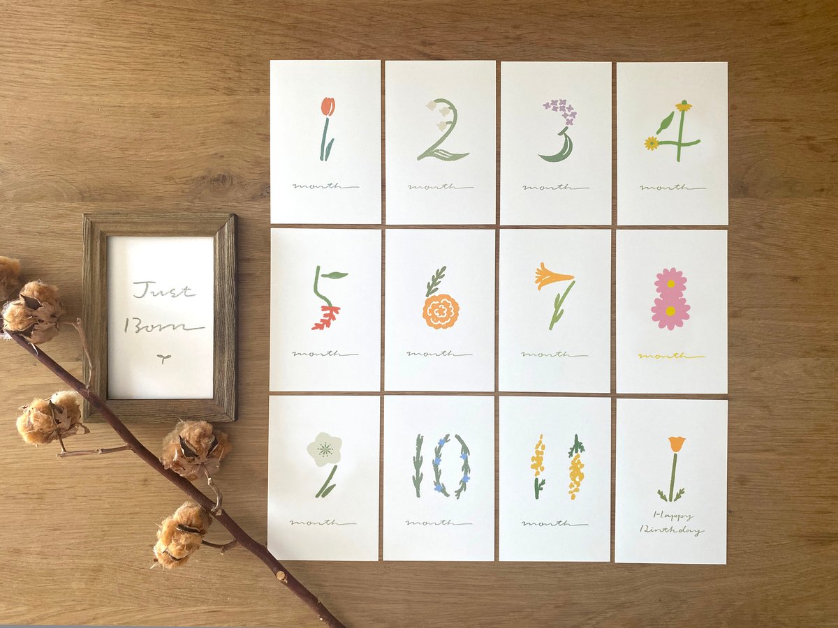 月齢カード flower / spring born | meimei STORE