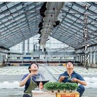 豆苗が主役！放牧豚の豚しゃぶセット（出汁・たれ付き）