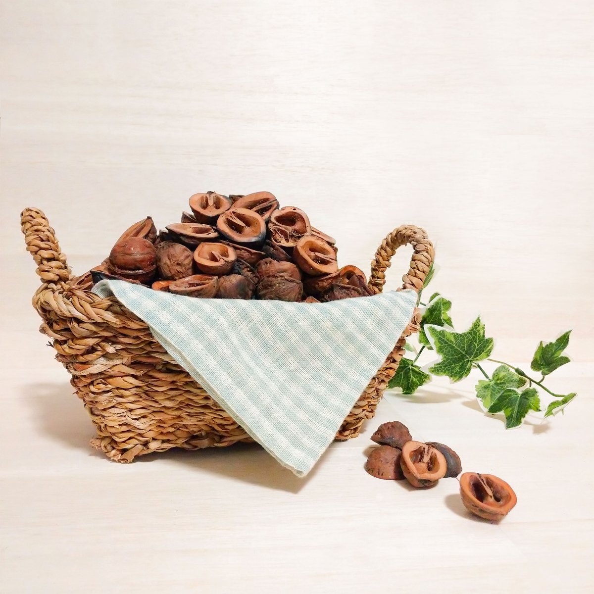 くるみさん専用 割りくるみの殻 国産くるみ 500g マルチング材やハンドメイドに