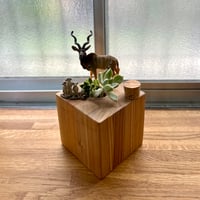 杉材一輪挿し