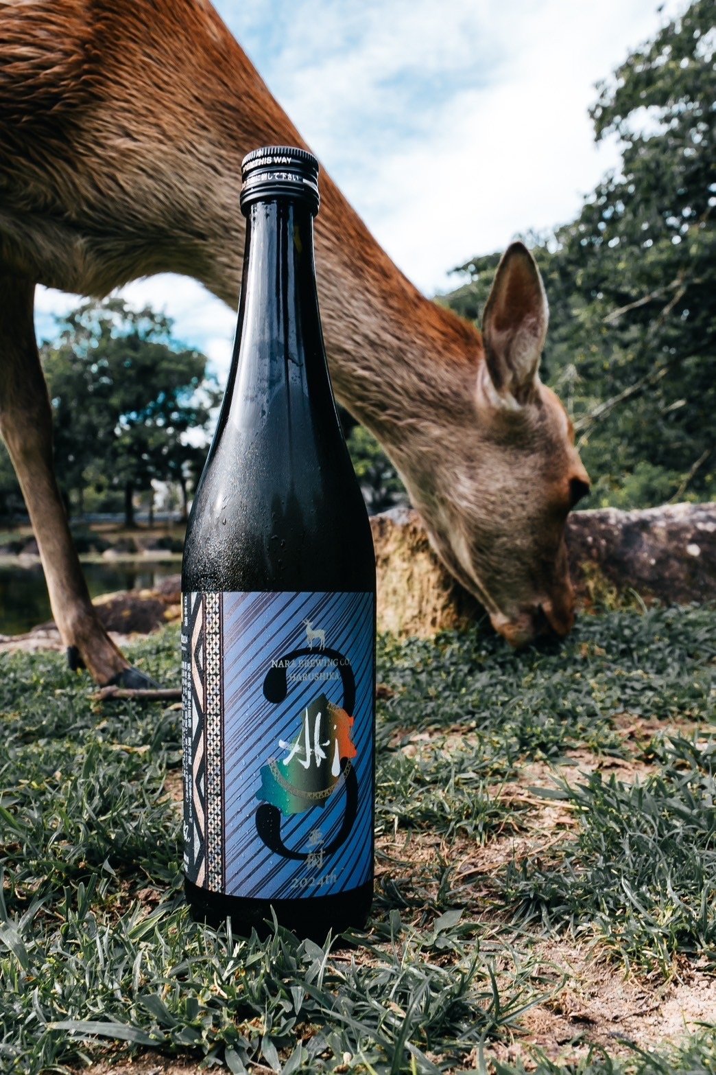 fit=scale-down,w=1200