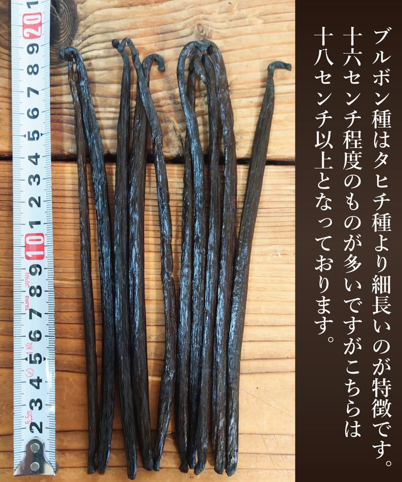 バニラビーンズ500g(グレード A) プレミアムAグレード】バニラビーンズ500g【業務用】 | 日本最安