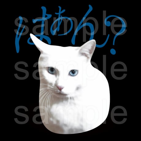 白ねこミーム黒パーカー「はぁん?」