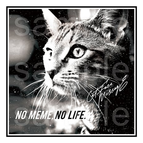 猫ミームTシャツ「MEME [BLACK]」