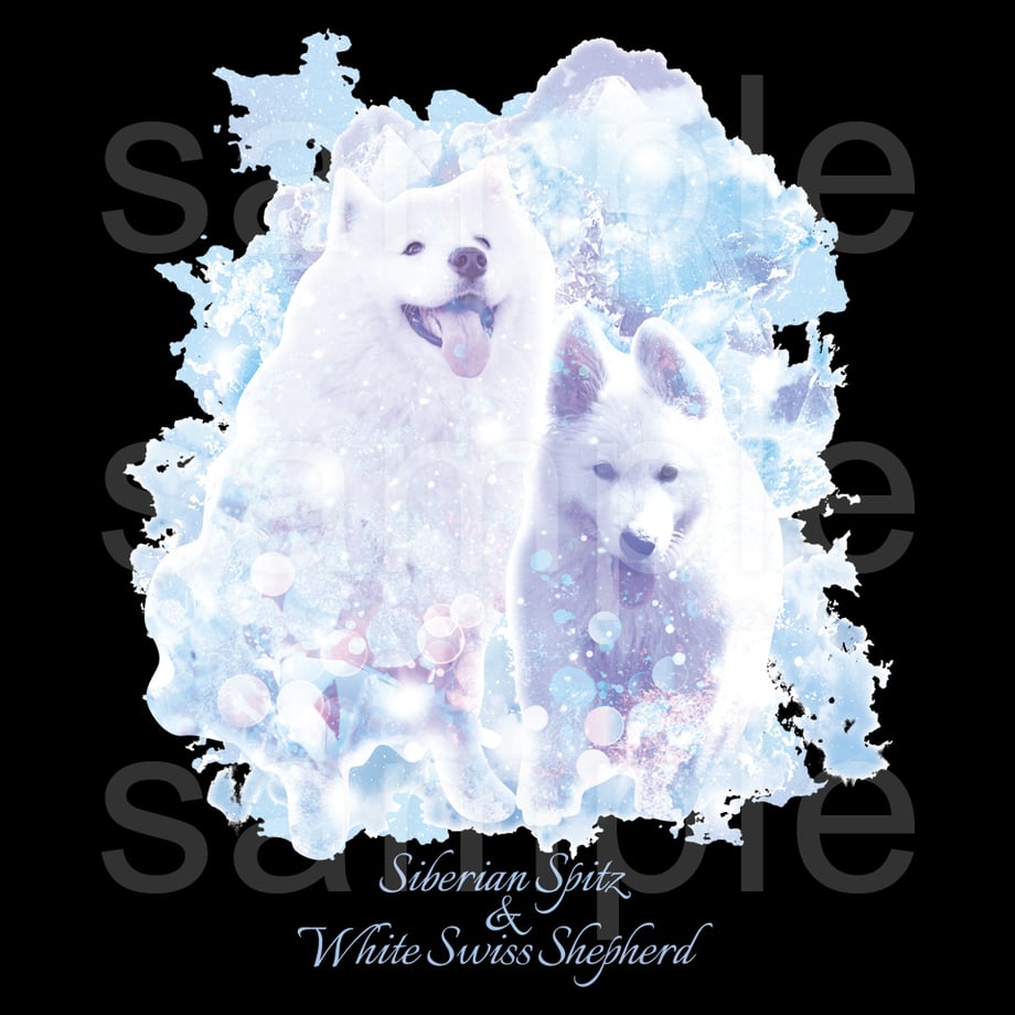 67ac89bc130f340474bc9753