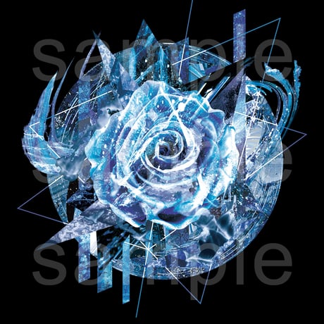 グラフィックアート黒Tシャツ「&ROSE」