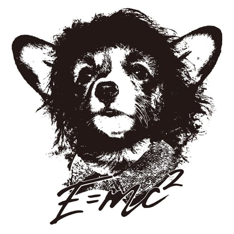 コーギーTシャツ「CorgiStein」