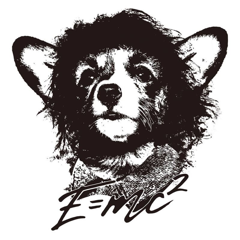 コーギーTシャツ「CorgiStein」 | MessagE