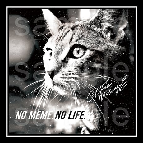 猫ミーム黒Tシャツ「MEME [WHITE]」