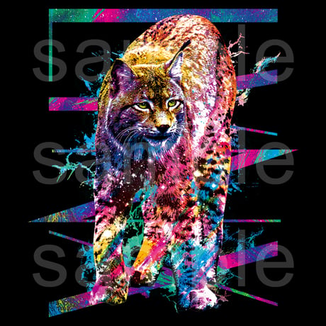 オオヤマネコ黒Tシャツ「FLASH LYNX」