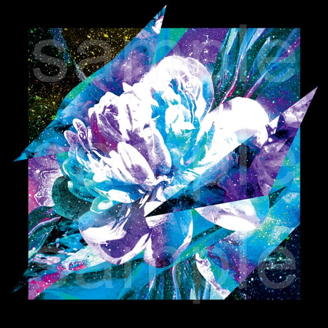 グラフィックアート黒Tシャツ「Bloom」