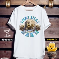 おもしろラッコTシャツ「イナイナイラッコ」