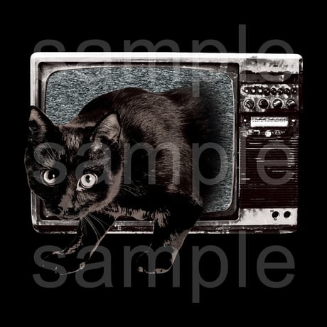 アニマルホラー黒Tシャツ「黒猫テレビ」
