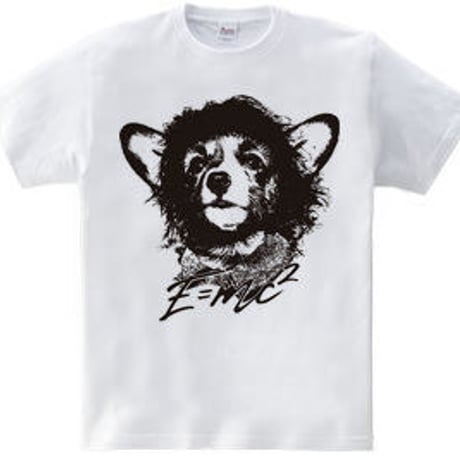 コーギーTシャツ「CorgiStein」