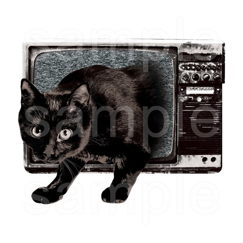 アニマルホラーTシャツ「黒猫テレビ」 | MessagE
