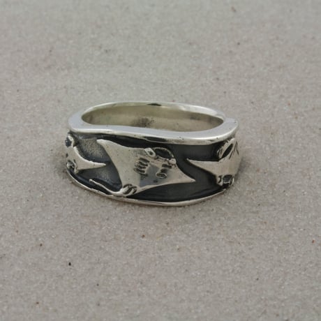 Ray Ring