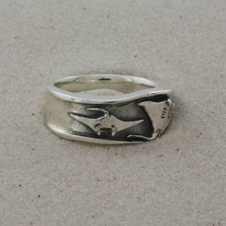 Ray Ring
