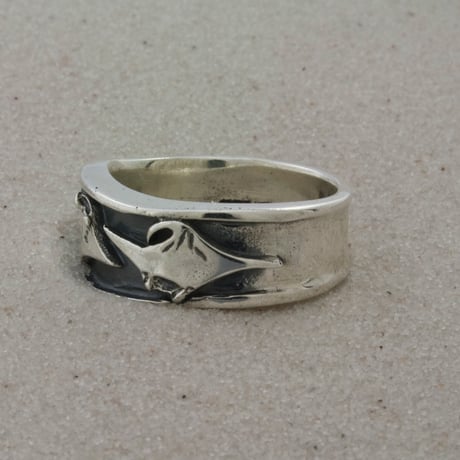Ray Ring
