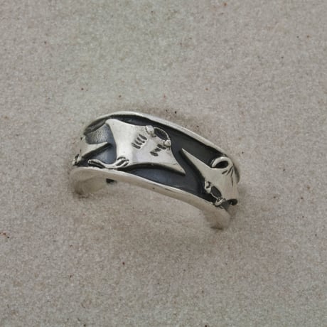 Ray Ring