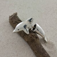 Dolphin Through Pierce