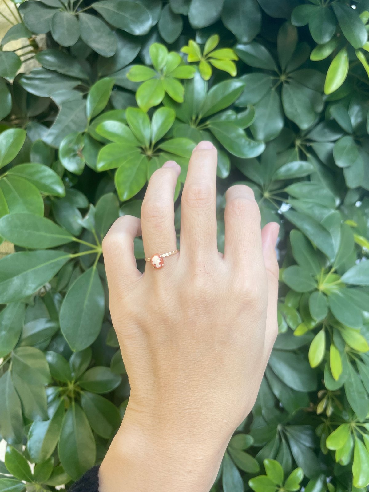 アンティークカメオ】k10リング | 煌美術工芸 