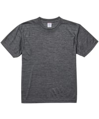 5900 4.1oz ﾄﾞﾗｲｱｽﾚﾁｯｸTｼｬﾂ 598ﾍｻﾞｰﾁｬｺｰﾙ
