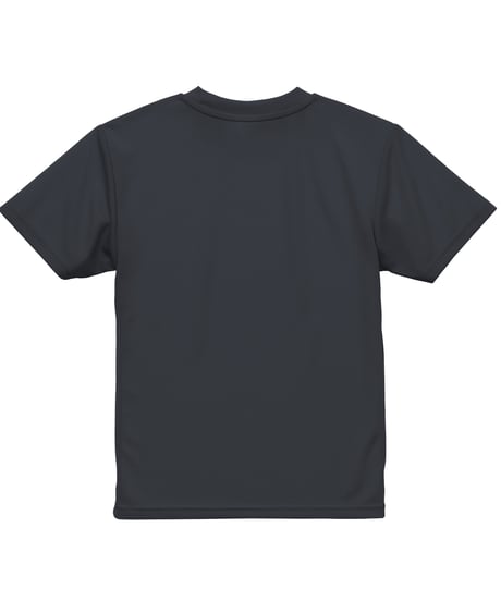 5900 4.1oz ﾄﾞﾗｲｱｽﾚﾁｯｸTｼｬﾂ 173ｶﾞﾝﾒﾀﾙ