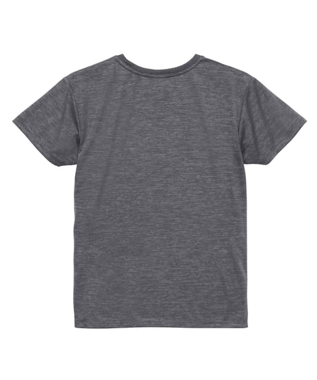 5900 4.1oz ﾄﾞﾗｲｱｽﾚﾁｯｸTｼｬﾂ 598ﾍｻﾞｰﾁｬｺｰﾙ