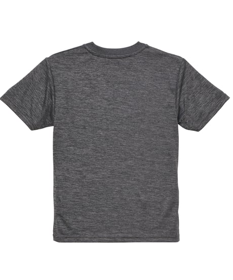 5900 4.1oz ﾄﾞﾗｲｱｽﾚﾁｯｸTｼｬﾂ 598ﾍｻﾞｰﾁｬｺｰﾙ
