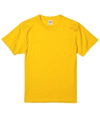 5001 5.6oz ﾊｲｸｵﾘﾃｨｰTｼｬﾂ 190ｶﾅﾘｱｲｴﾛｰ