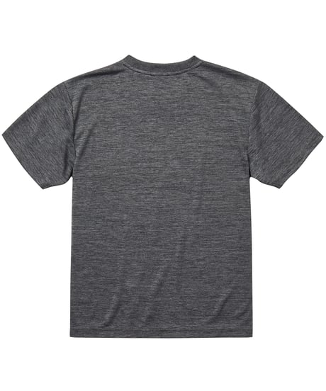 5900 4.1oz ﾄﾞﾗｲｱｽﾚﾁｯｸTｼｬﾂ 598ﾍｻﾞｰﾁｬｺｰﾙ