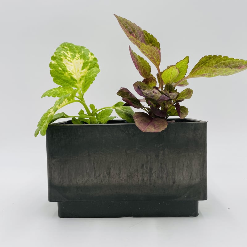 FOYER SK長方形ステップ | 花の器 FOYER SK長方形ステップ | 花の器