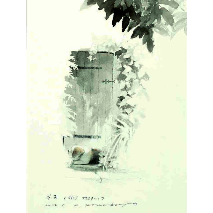 fit=scale-down,w=1200