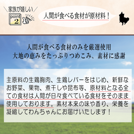 【メンバー様限定価格】国産無添加ドッグフード「いのちのごはん」1㎏