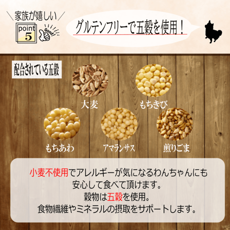 【メンバー様限定価格】国産無添加ドッグフード「いのちのごはん」1㎏