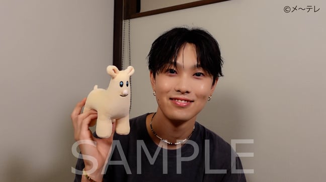 ホリナツのカンムリ もちもちホリパカクッション　キーホルダー ファンタ 堀夏喜 ちびぬいホリパカキーホルダー ホリナツの